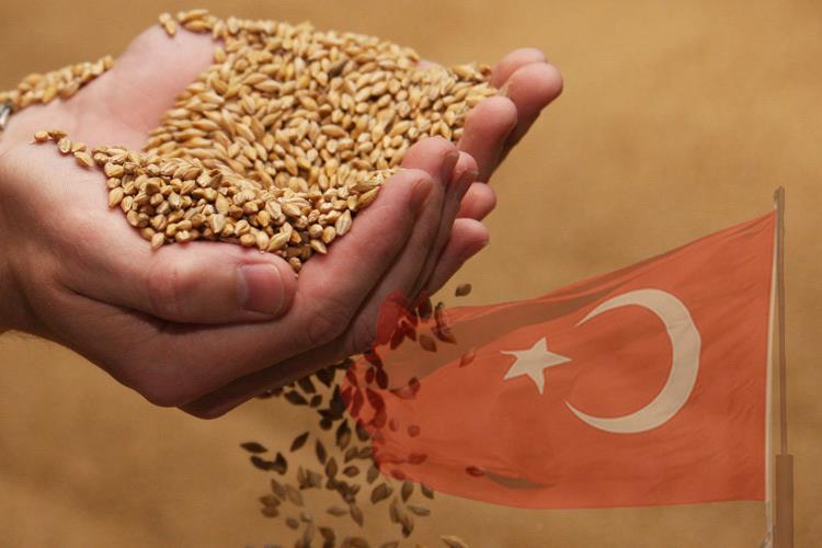 Возвращение турецких товаров и тонны российского зерна прокачали грузооборот Таганрогского порта