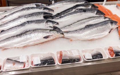Чилийский лосось в этом году не взошел. Рыбная ассоциация вангует сокращение поставок