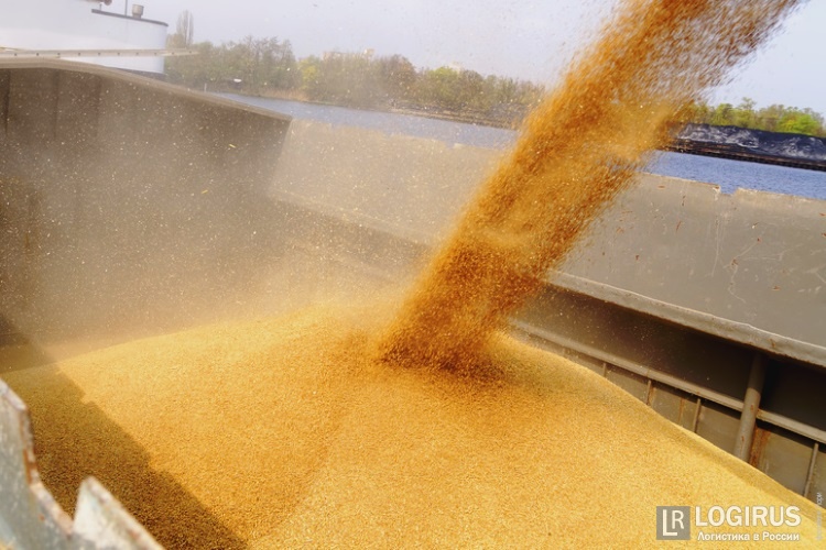 РЖД приняла в свой дисконт-клуб для экспортеров зерна еще шесть регионов