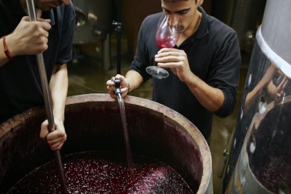 На импортный виноматериал ФАС не разевай