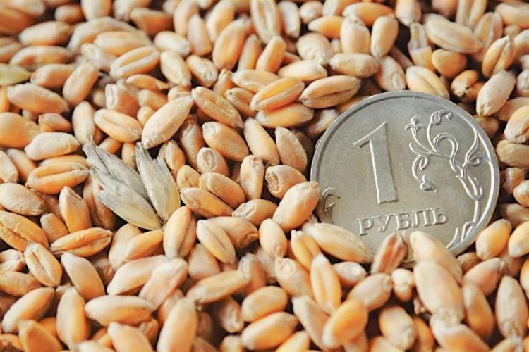 Слабый рубль пока не угрожает нулевой ставке на экспорт зерна
