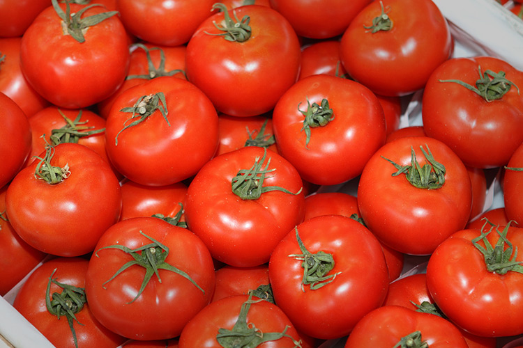 Беларусь так забросала помидорами, что Россия заинтересовалась логистическими особенностями их поставок