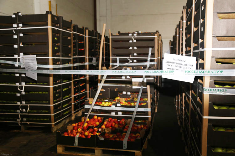 Россия начнет беспощадное угнетение африканских овощей и фруктов в конце этой недели