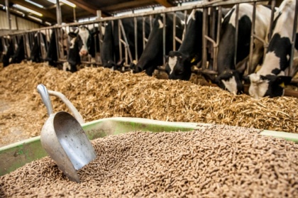 Импортерам кормов для животных грозит перерасчет НДС. Многомиллиардный