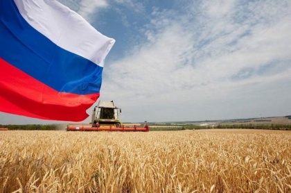 Российские зерновые экспортеры «не доедают выручки»