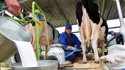 ЕЭК заступилась за белорусское молоко, потребовав от Москвы устранить «торговые барьеры»