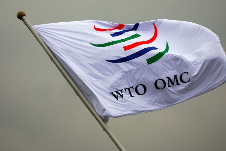 Не дождавшись консультаций, Россия предупредила ВТО о компенсациях