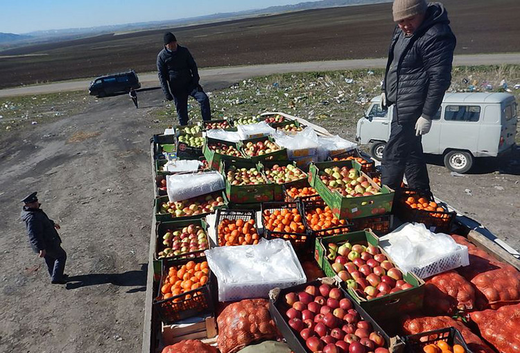 Воины Россельхознадзора предотвратили европейско-монгольское яблочное иго на Алтае