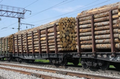Россия у Китая не на первом месте по поставкам хвойной древесины