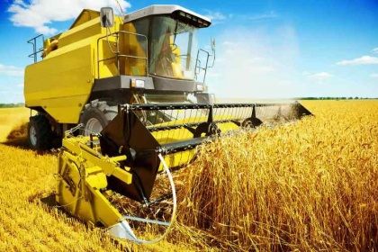 Российская пшеница дорожает, не теряя экспортной «привлекательности»