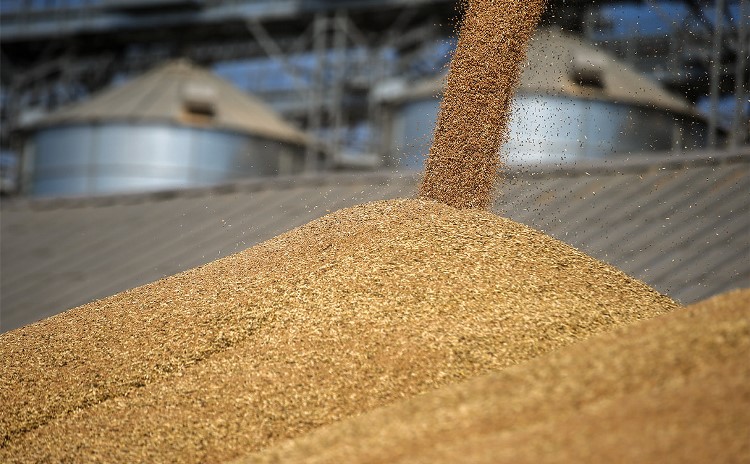 Скромный урожай может быть компенсирован рекордными переходящими с прошлого года остатками зерна, которые оцениваются в 20 млн тонн