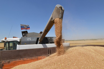 Экспорт зерновых из РФ попытаются «притормозить»