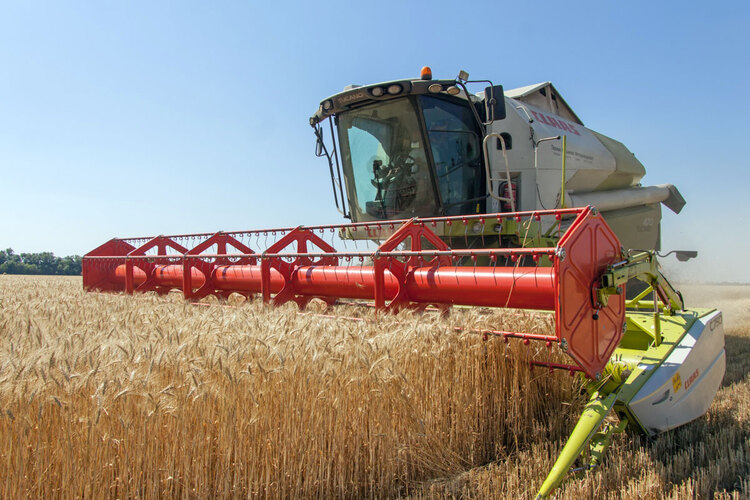 У России наполеоновские планы на экспорт зерна. Год выдался хлебородным
