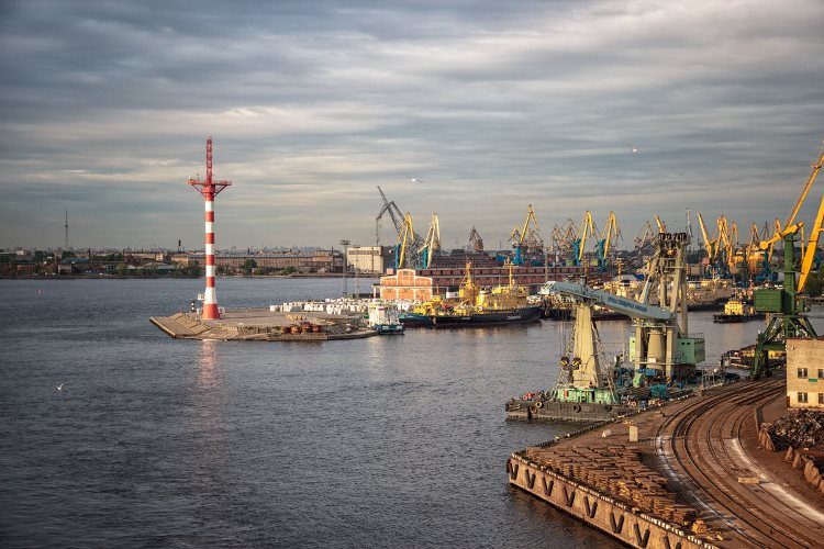 Для «Большого порта Санкт-Петербург» подыскивают варианты переселения. Загородные