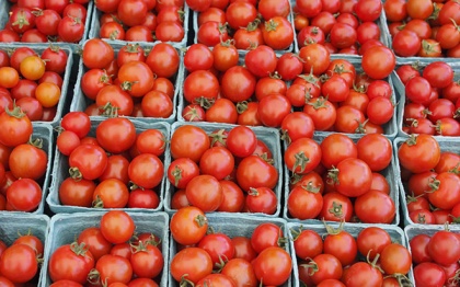 Турецкие томаты успешно заменены иранскими. Теперь главное – с Ираном не обострить