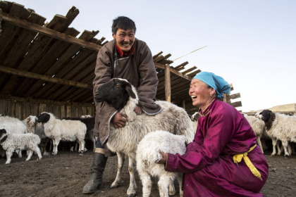Сельхозпродукцию из Монголии отправили на «пошлинные каникулы»
