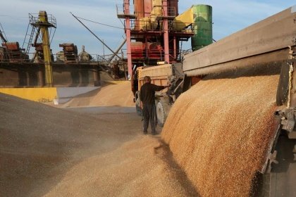 Пшеничные реки выйдут из берегов: через 15 лет экспорт зерна должен вырасти на 16%