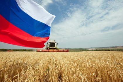 Российская пшеница сбавляет «экспортные обороты»