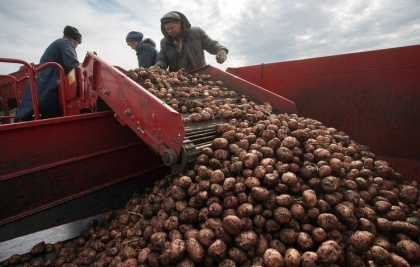 Россия «посадила на диету» белорусский экспорт продовольствия