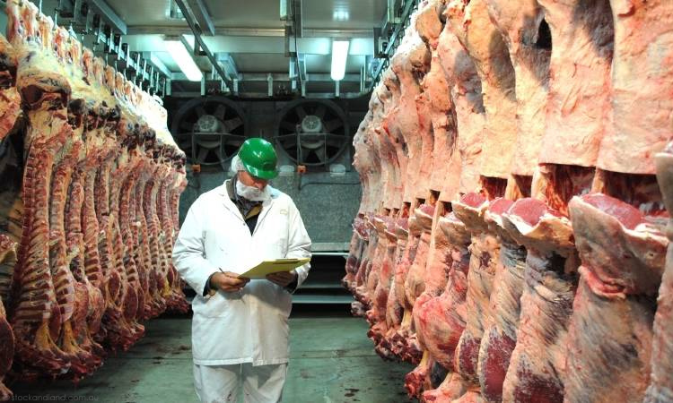 Ареста контейнеров опасаются импортеры бразильского мяса и пережидают ситуацию