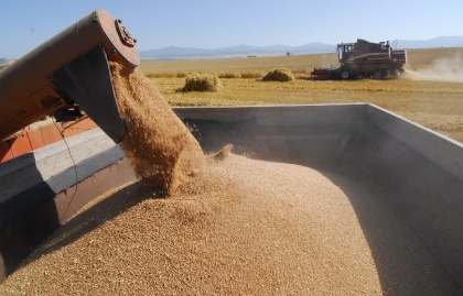 Зерновозы «закипели» от перегрузов и грозят приостановкой перевозок