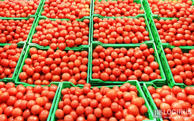 Турецкие томаты пустили в Россию досрочно, а Анкара продолжает дуться