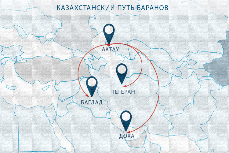 Казахстанский путь баранов
