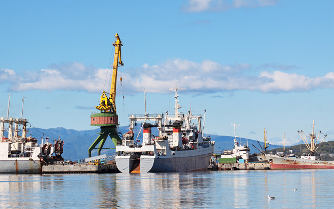 Отправной точкой для Северного морского пути может стать приморский порт Славянка 