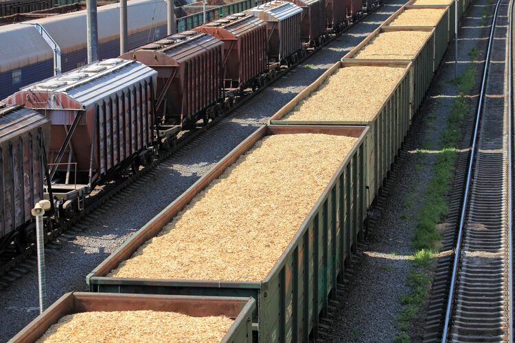 Экспорт зерна по железной дороге уперся в погранпереход «Самур»