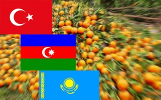 Общественная палата подозревает Казахстан и Азербайджан в нехорошем