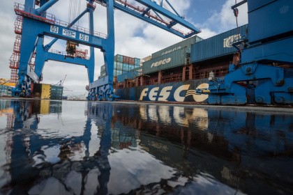 FESCO привезет в РФ бананы вместо Maersk