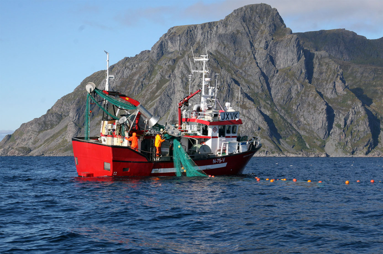 На берегах Фарерских островов российские рыболовные суда не ждут