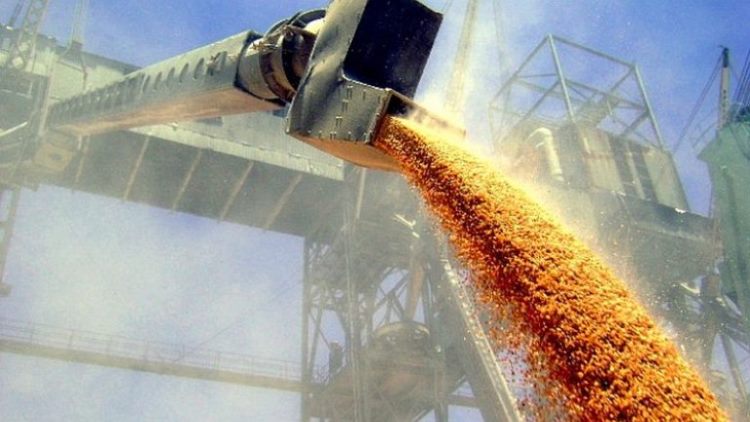 Правильно расставив грузовые приоритеты, Советская Гавань подцепила уже второго «зернового инвестора»