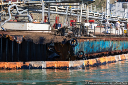 Итог крушения «Волгонефти»: ущерб экологии оценили в 119 млрд рублей