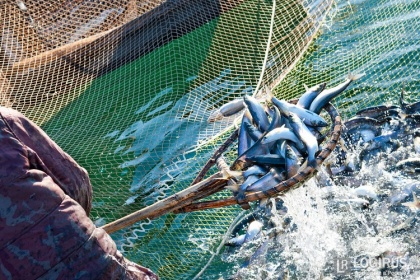 Рыбаки жалуются на произвол таможенников и просят «судоремонтной» амнистии