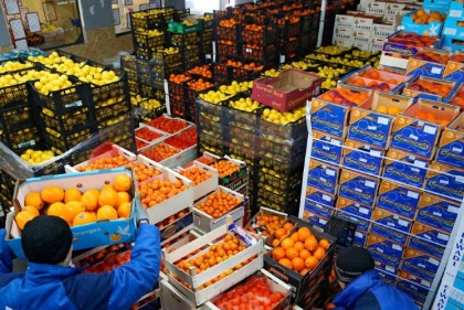 У Владморрыбпорта появилась фруктово-складская «начинка»