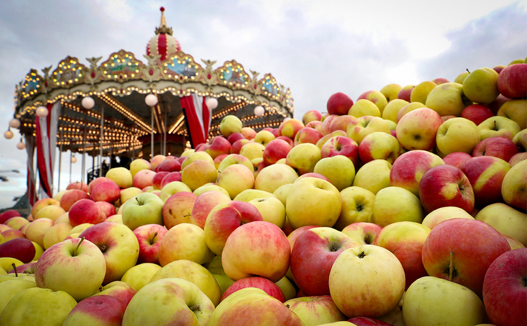 В России могут повысить пошлины на импорт яблок в 2021 году