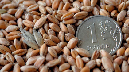 Экспорт пшеницы впервые превзойдет себя прошлогоднего