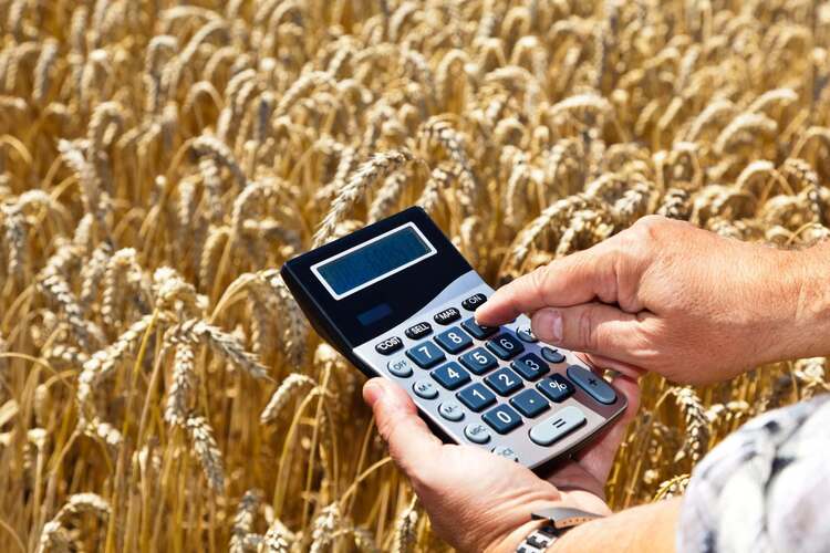 Пошлины на зерновые продолжат рассчитывать по старинке
