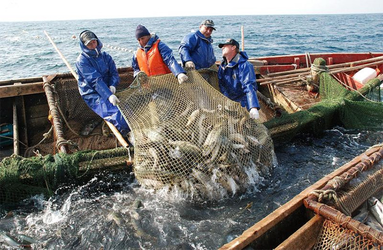Россия озабочена возможной потерей своей рыбной палатки на американском Привозе