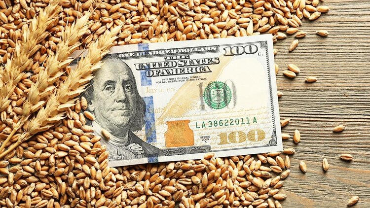 По «зерновым контрактам» валюта до России не доходит