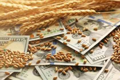 Пошлина на экспорт зерна продолжит «плавание»