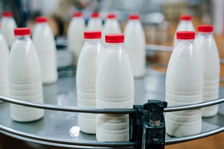 Россия пропишет белорусскому молочному импорту лимиты, чтобы держал себя «в рамках»