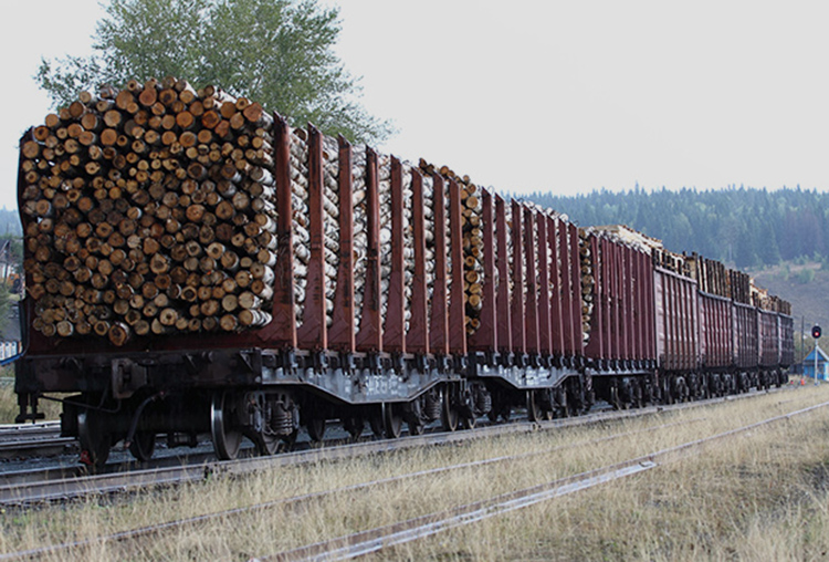 Новосибирский филиал ПГК идет с лесом