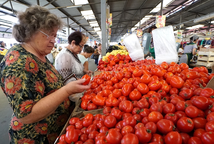 Турецкие томаты вернулись на российский рынок с «долларовым рекордом»