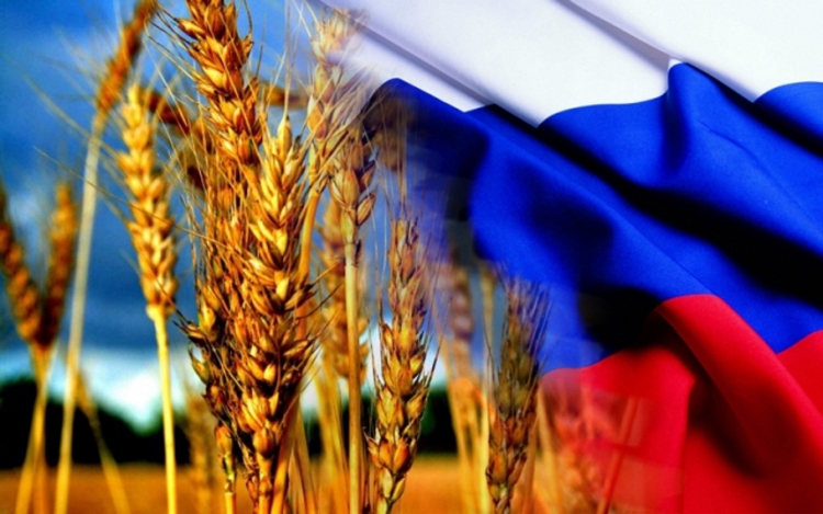 Смотрите в новом сезоне: Россия может и лидерство вернуть, и «пшеничный» мировой рекорд побить