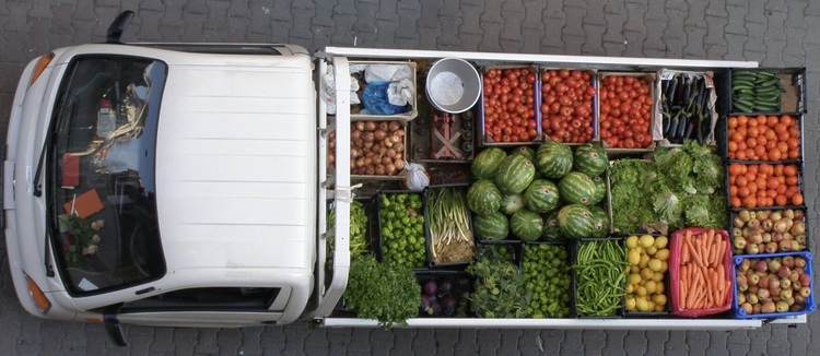 Автотранспорт нуждается в «льготах» на овощи