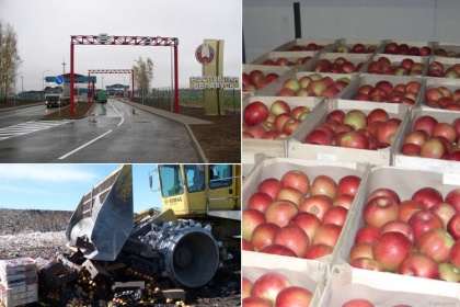 Таможня Белоруссии показала, что справляется с яблоками не хуже Россельхознадзора