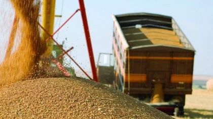 Что посеешь, то и пожнешь: погрузка зерна на сети РЖД увеличилась на 36,8 %