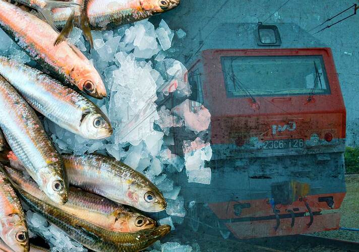 Эксперт: в низкий сезон операторы вынуждены дотировать жд перевозку рыбы